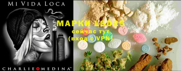 spice Михайловск