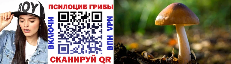 наркошоп  Елабуга  Галлюциногенные грибы GOLDEN TEACHER 