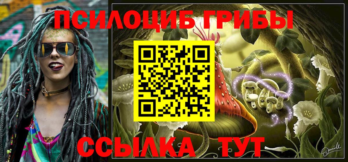 Псилоцибиновые грибы мицелий Елабуга