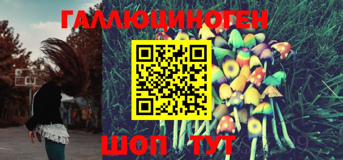 где продают   Псилоцибиновые грибы Magic Shrooms  Елабуга  Галлюциногенные грибы Cubensis 