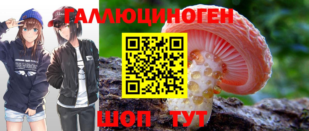 Псилоцибиновые грибы мухоморы  Вход с VPN  Елабуга 