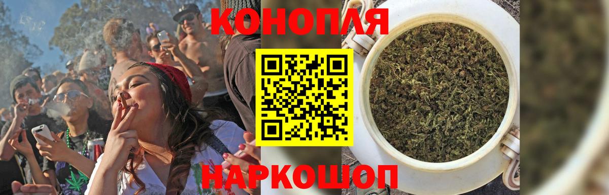 Конопля гибрид Елабуга
